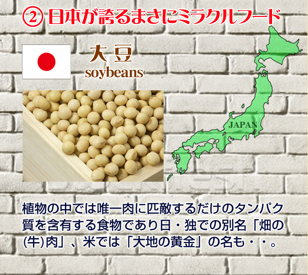 日本の大豆